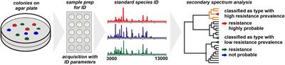 One System for All: Is Mass Spectrometry a Future Alternative for Conventional Antibiotic Susceptibility Testing?